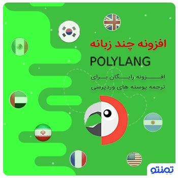 افزونه چند زبانه polylang