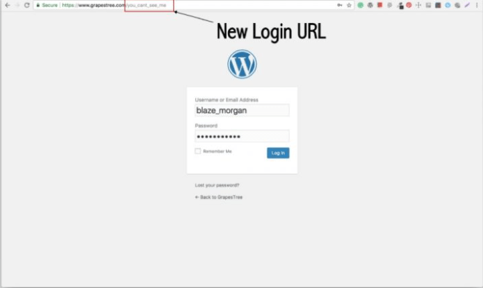 brute-force-change-admin-wordpress-url